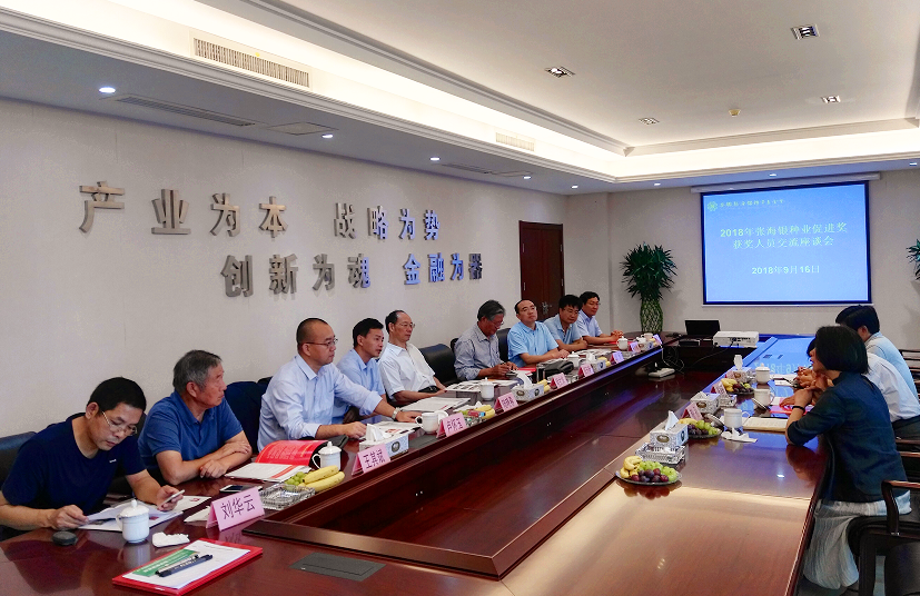 华人策略最新地址