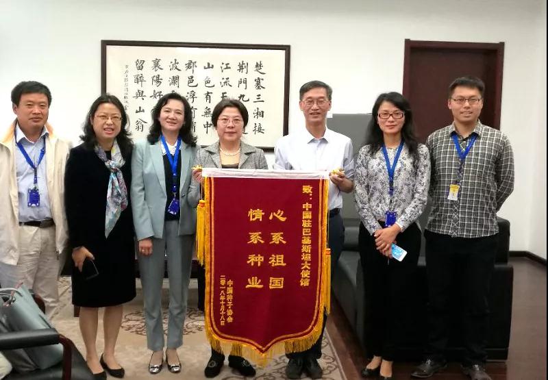 华人策略最新地址