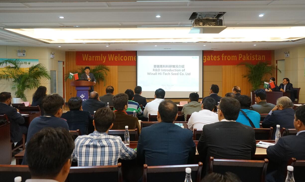 华人策略最新地址