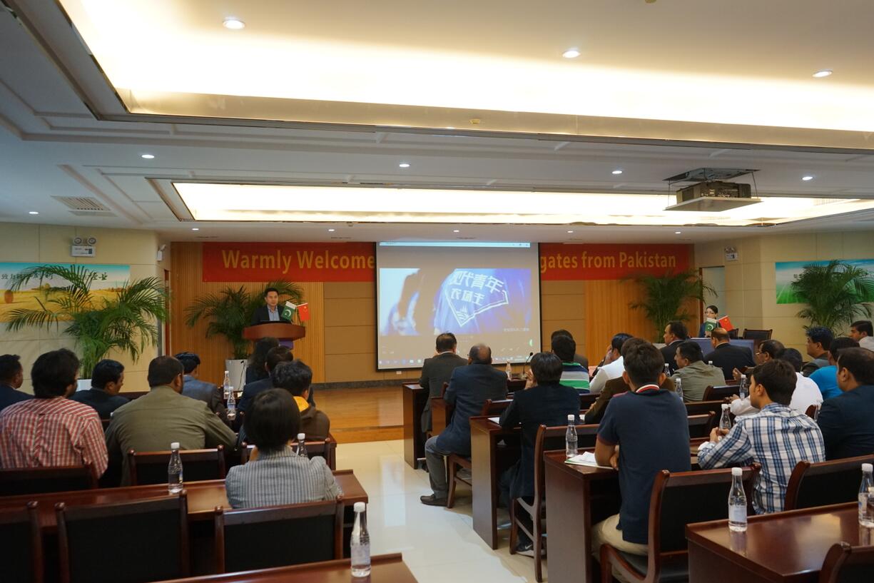 华人策略最新地址