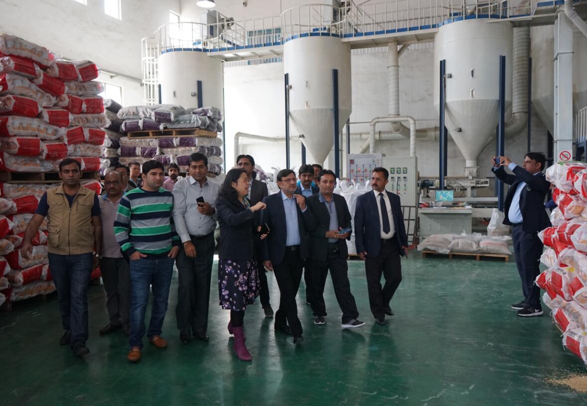 华人策略最新地址