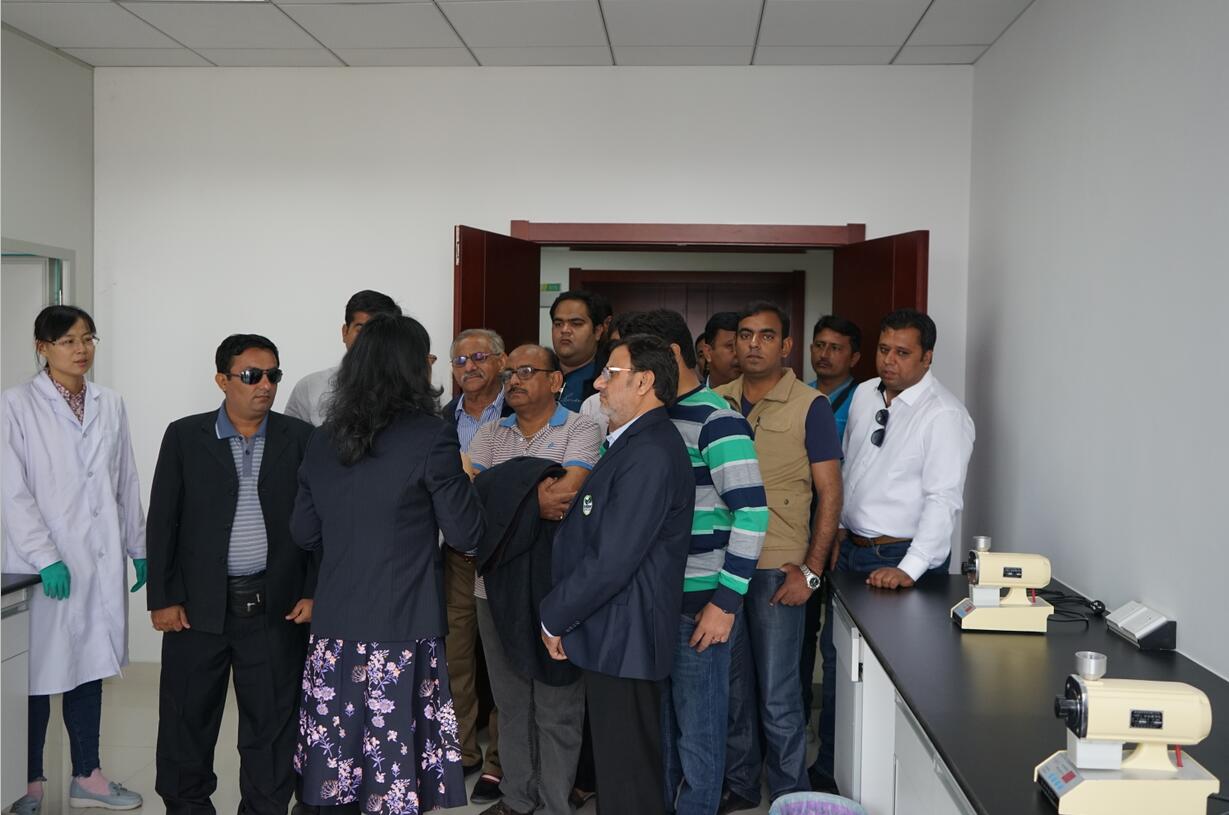 华人策略最新地址