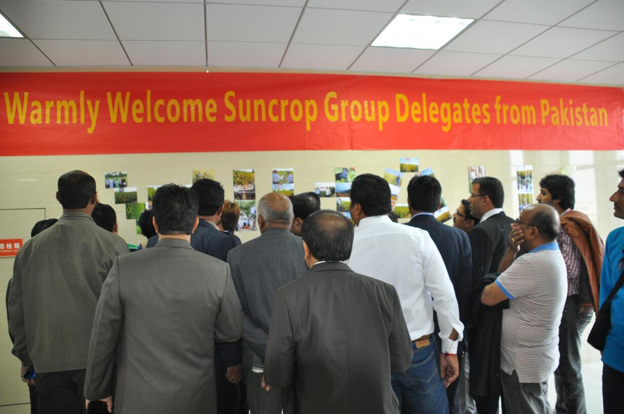 华人策略最新地址