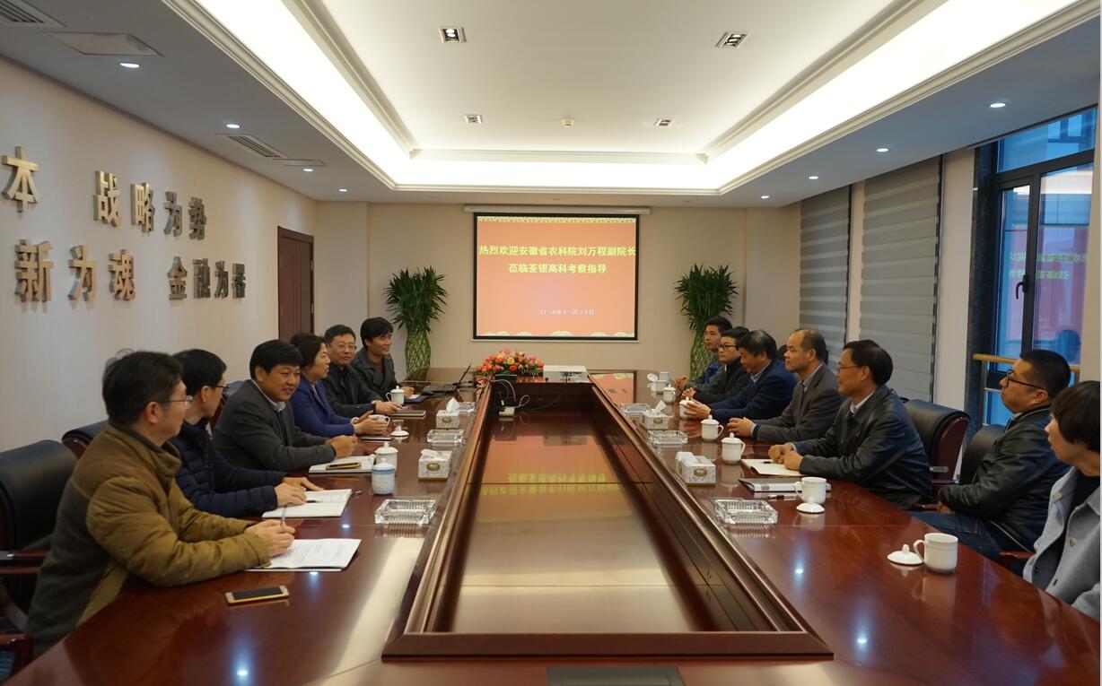 华人策略最新地址