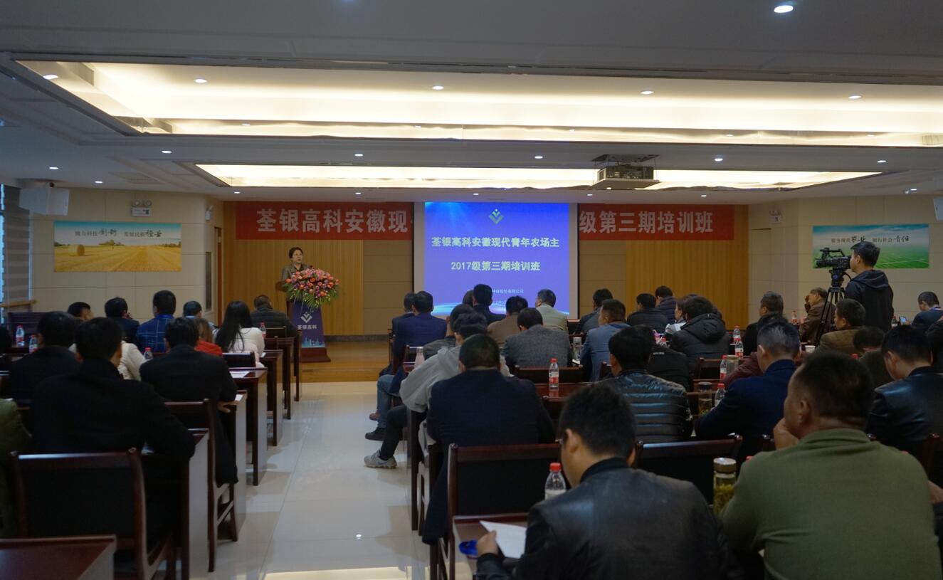 华人策略最新地址