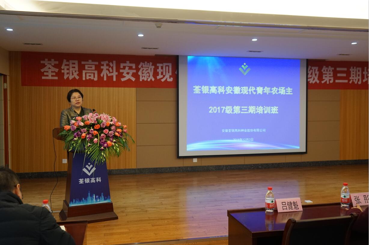 华人策略最新地址