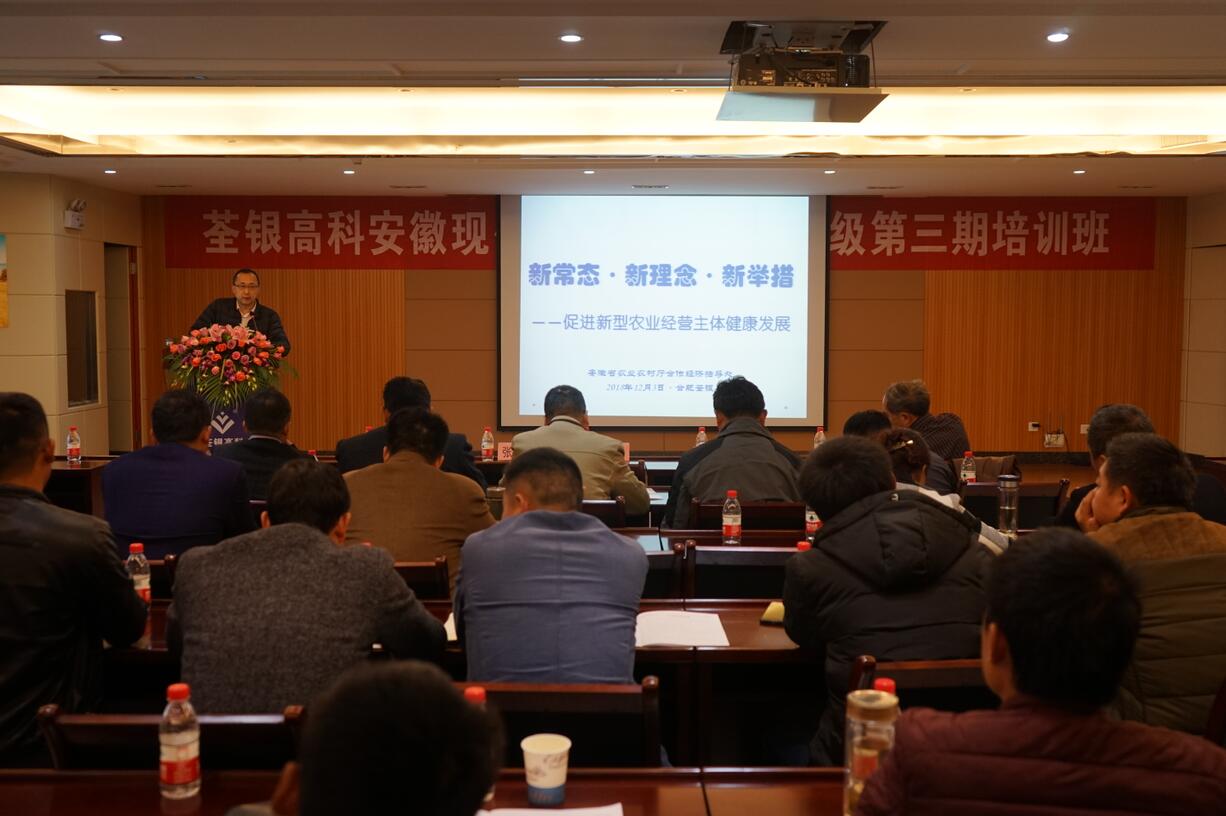 华人策略最新地址