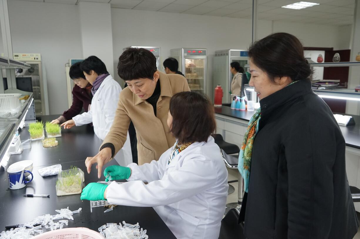 华人策略最新地址