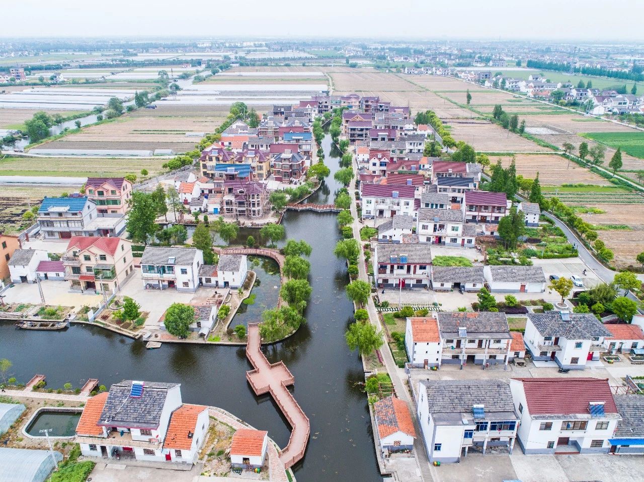 华人策略最新地址