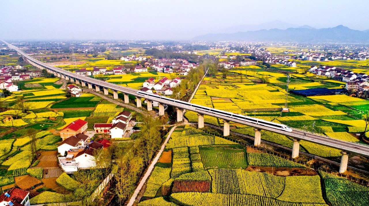 华人策略最新地址