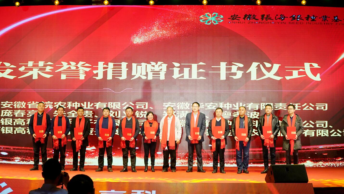 华人策略最新地址