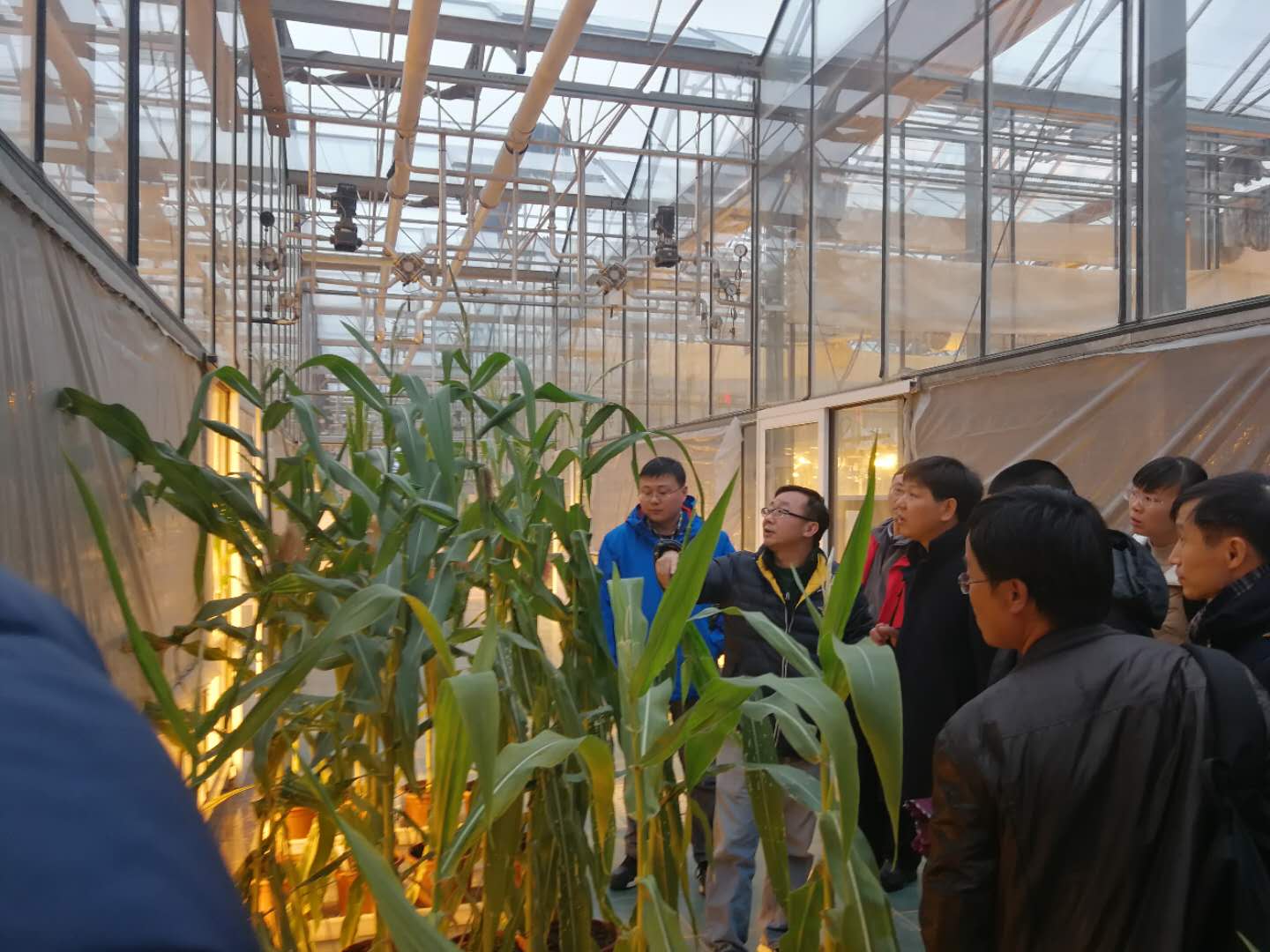 华人策略最新地址