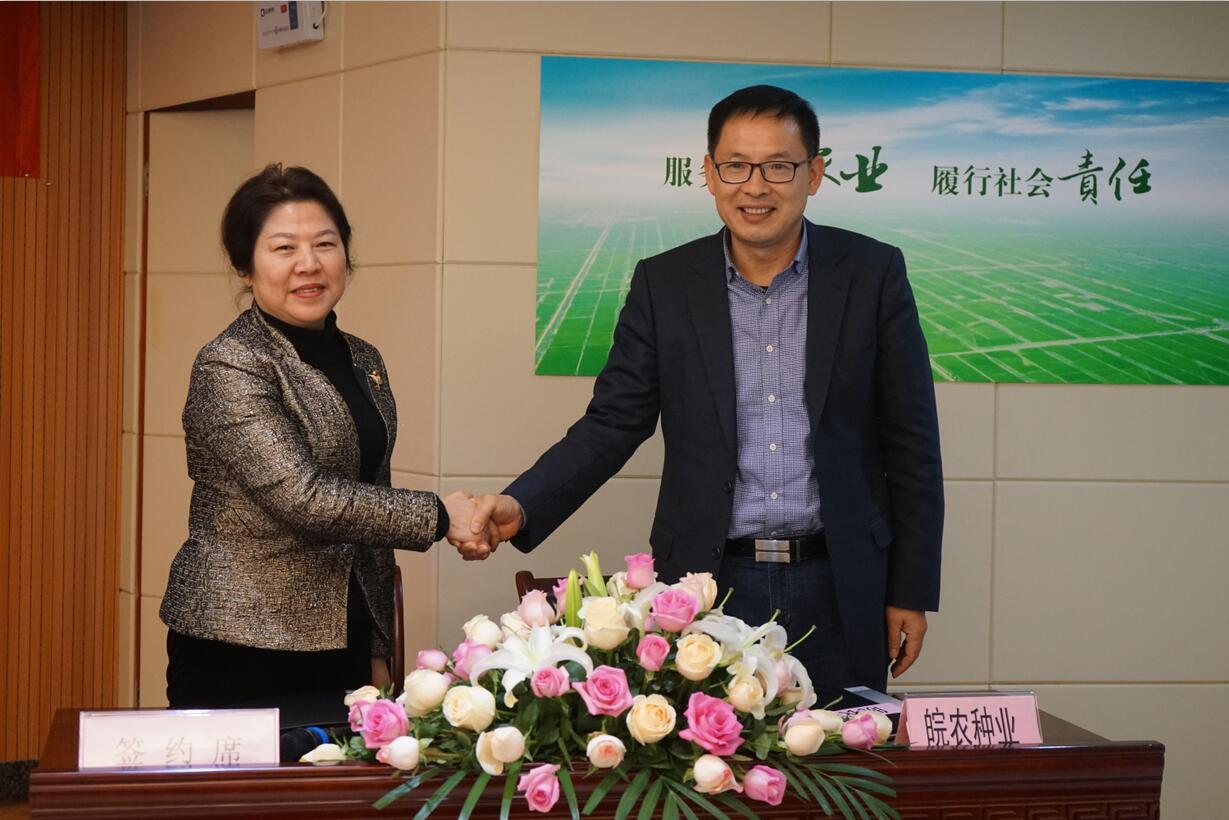 华人策略最新地址