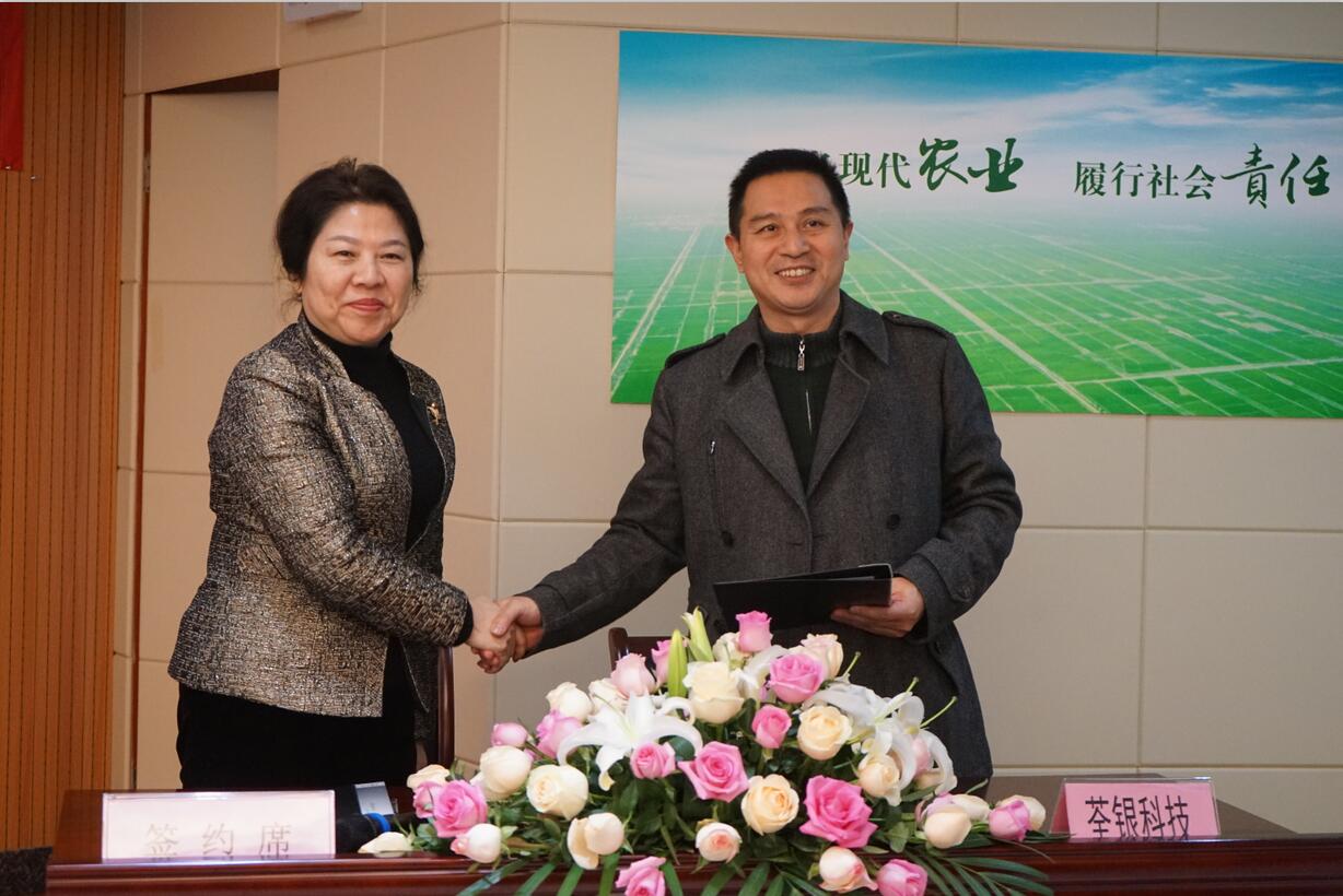 华人策略最新地址