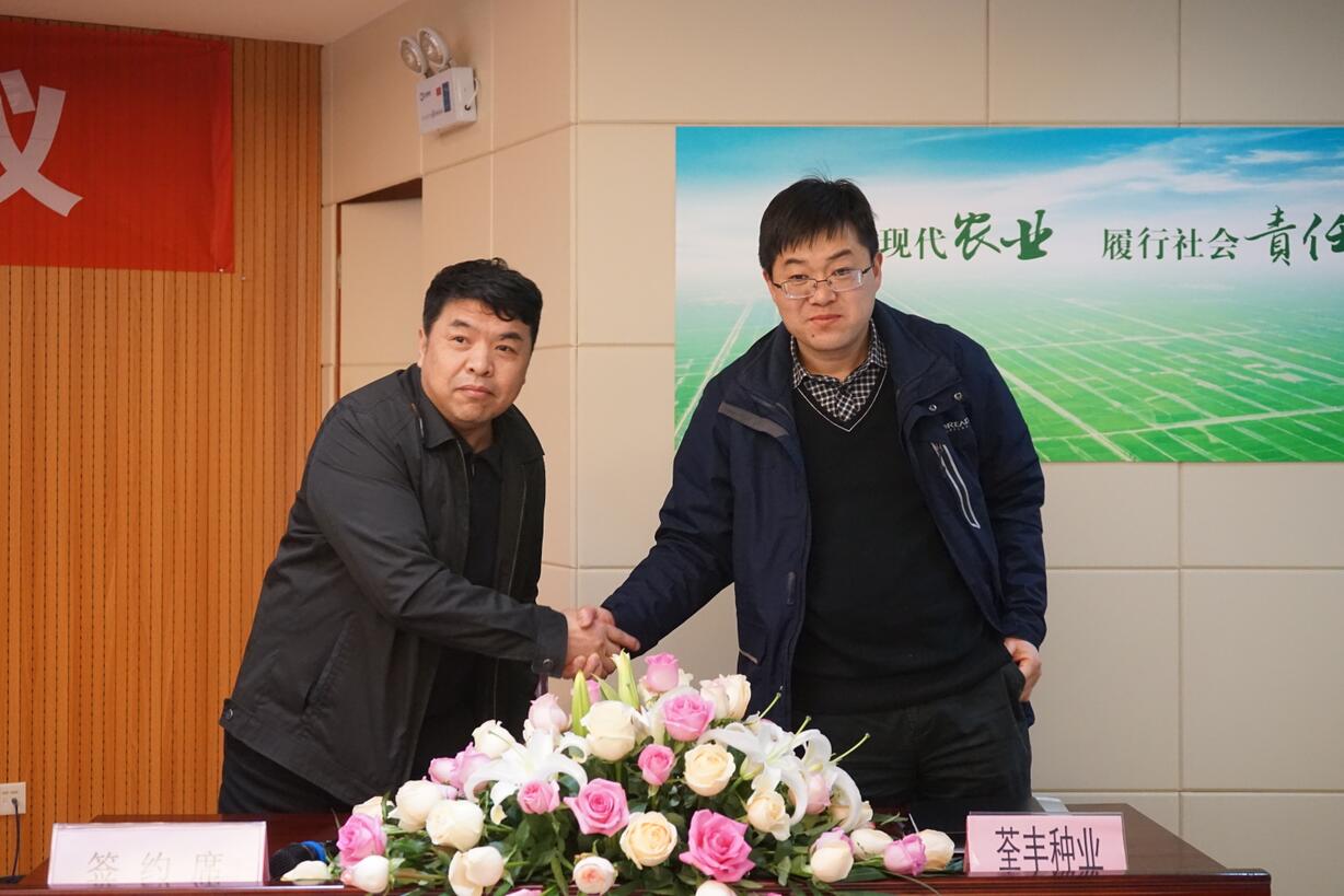 华人策略最新地址