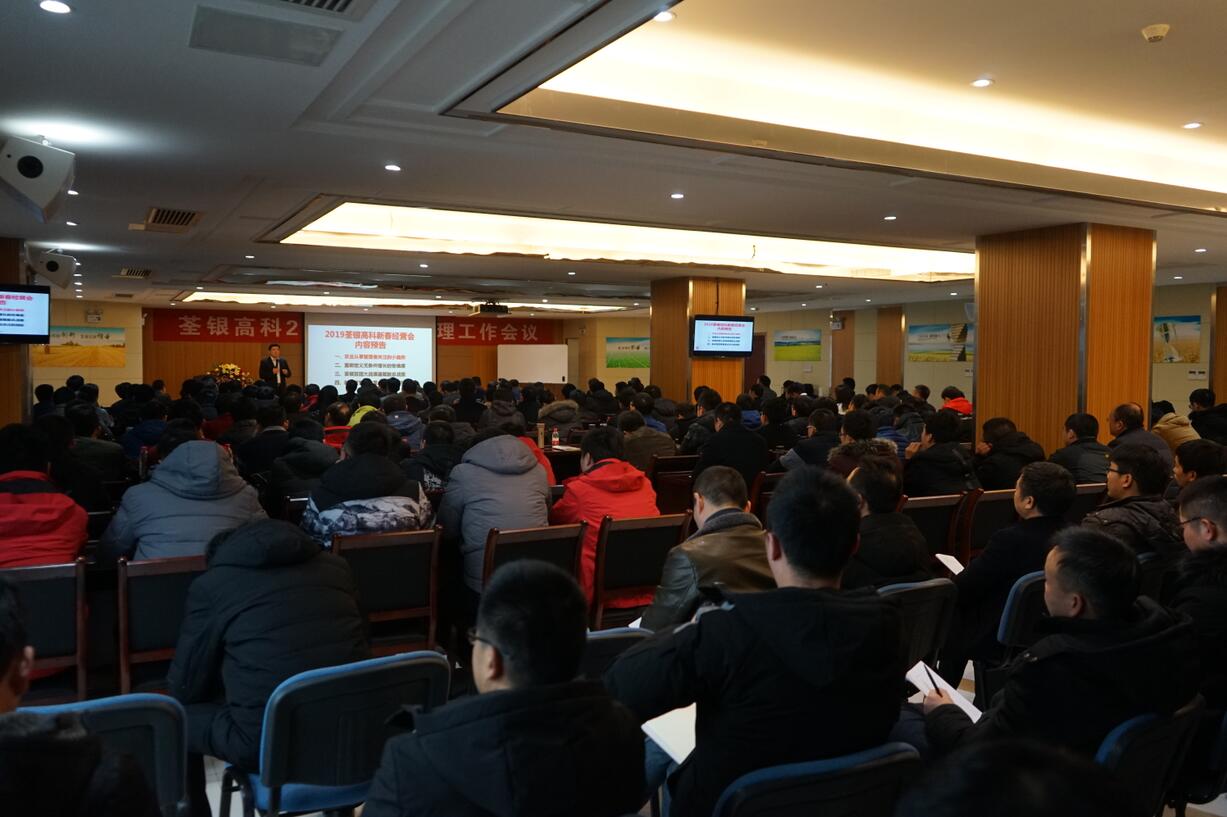 华人策略最新地址