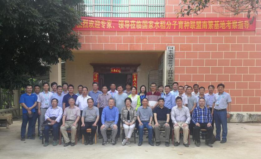 华人策略最新地址