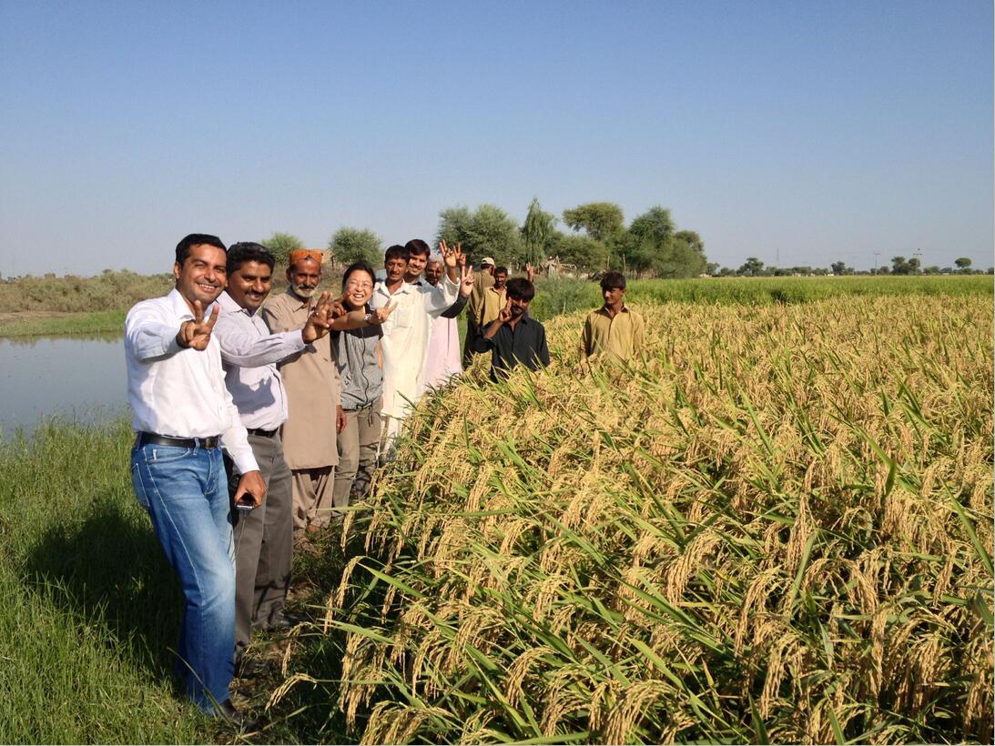 华人策略最新地址