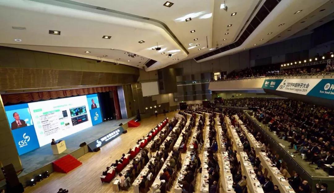 华人策略最新地址