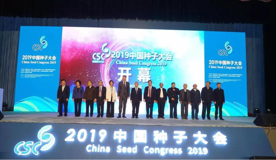 华人策略最新地址