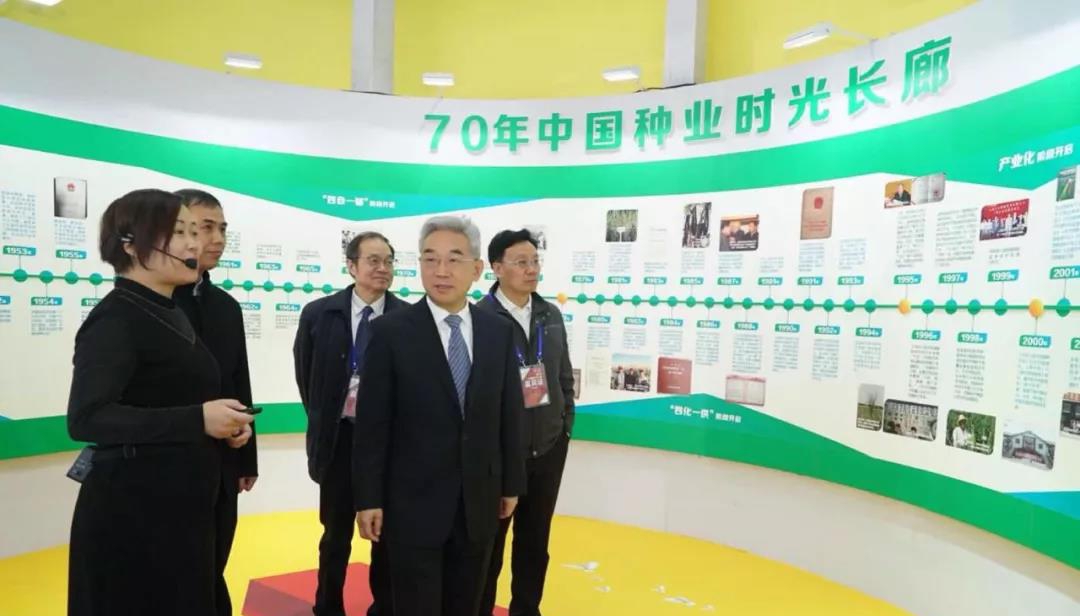 华人策略最新地址