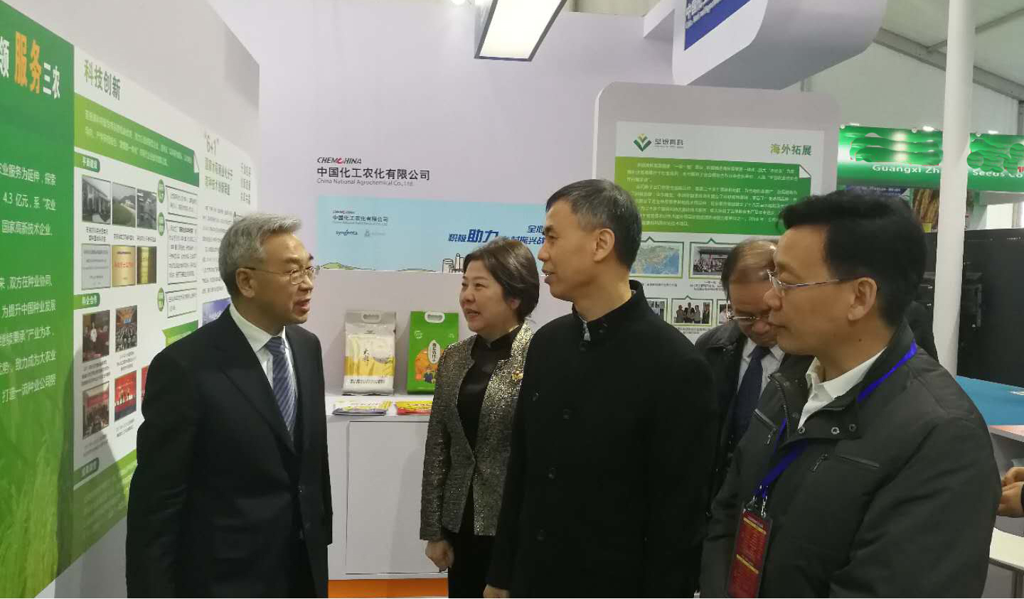 华人策略最新地址