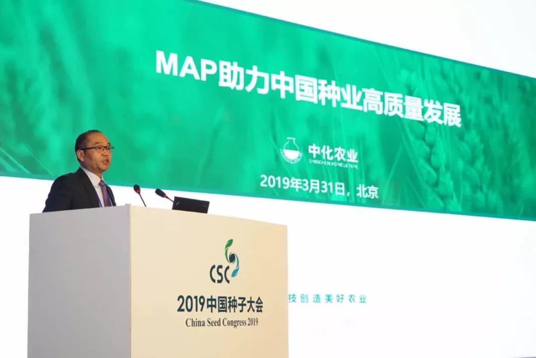 华人策略最新地址