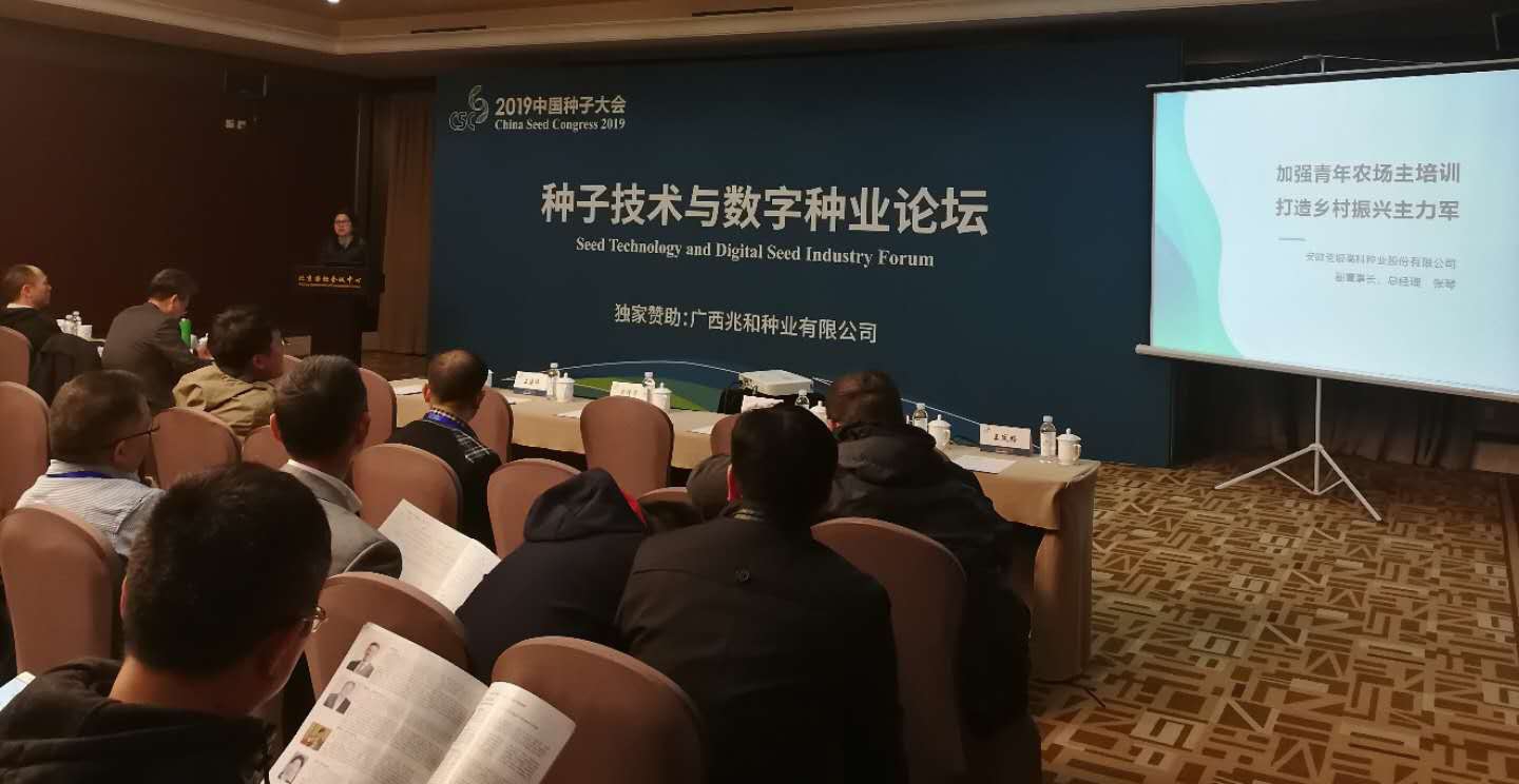 华人策略最新地址