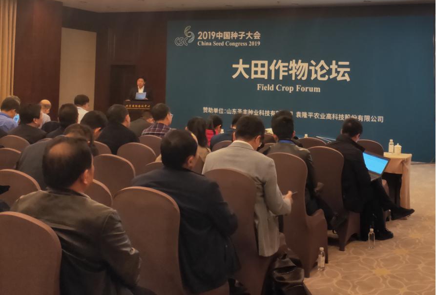 华人策略最新地址