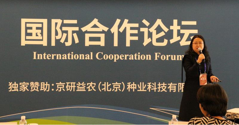 华人策略最新地址