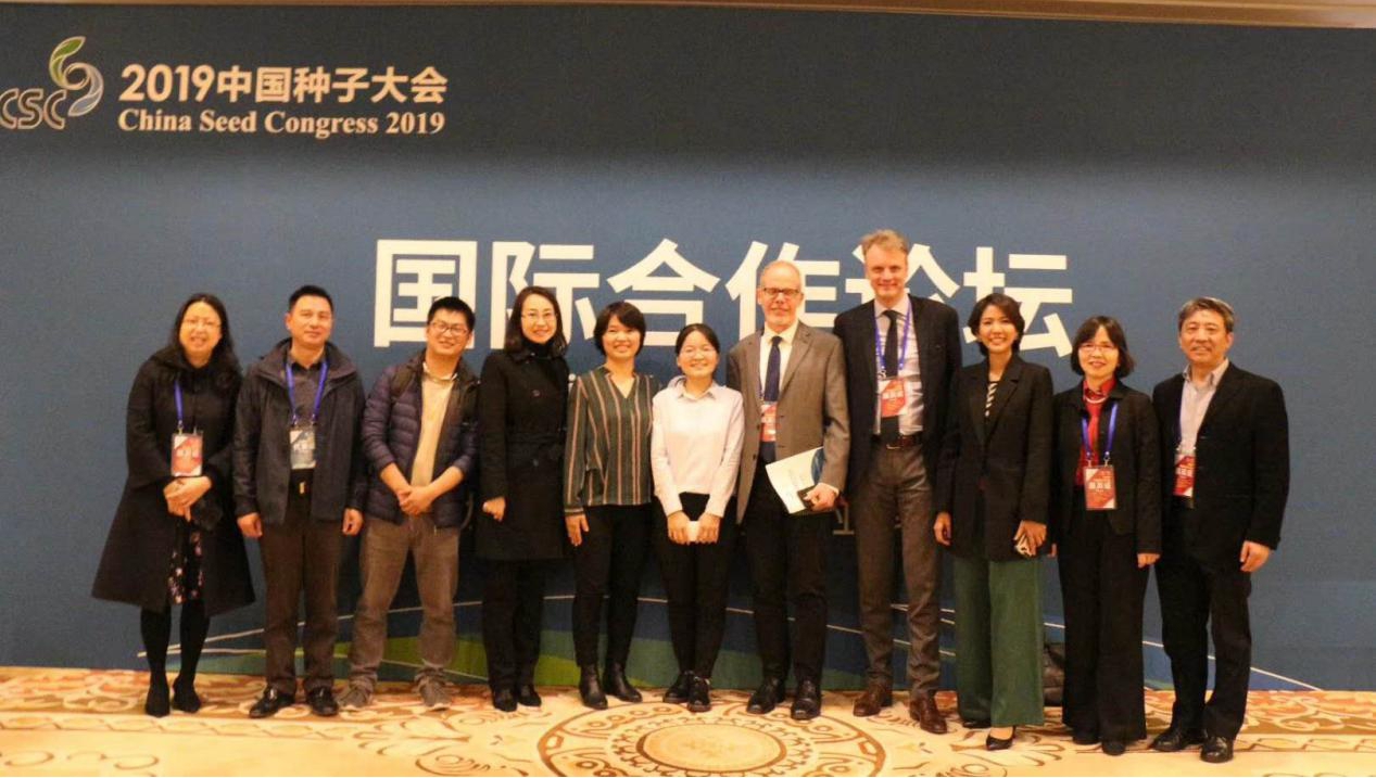 华人策略最新地址