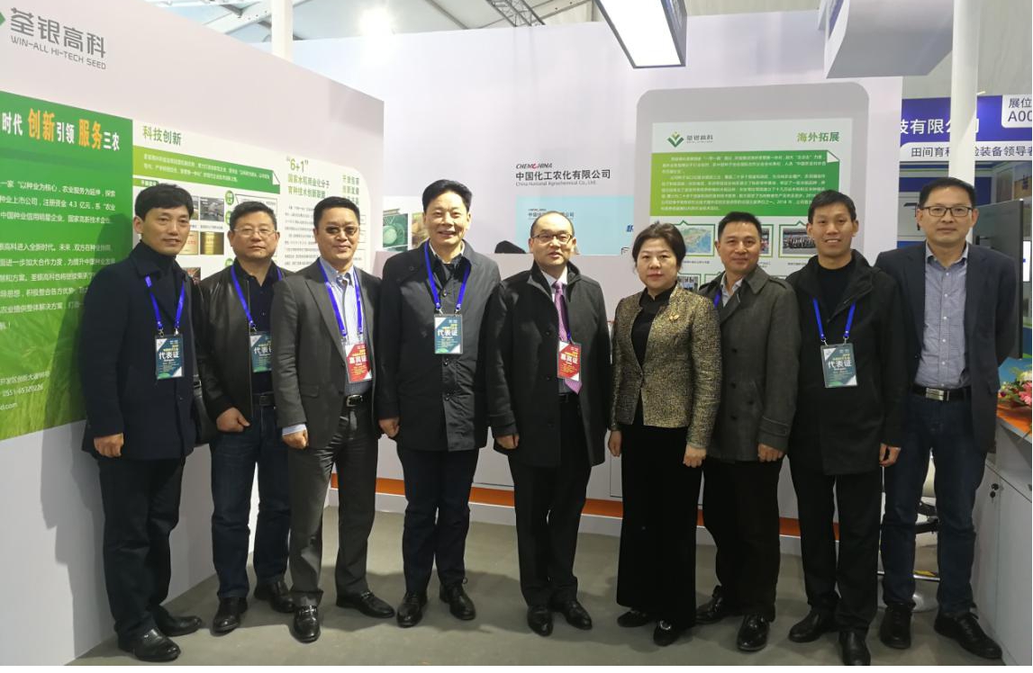 华人策略最新地址