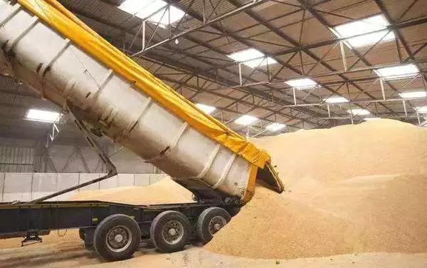 华人策略最新地址