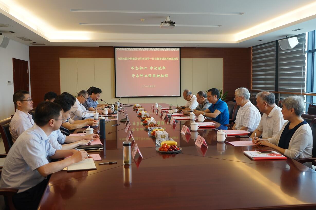 华人策略最新地址