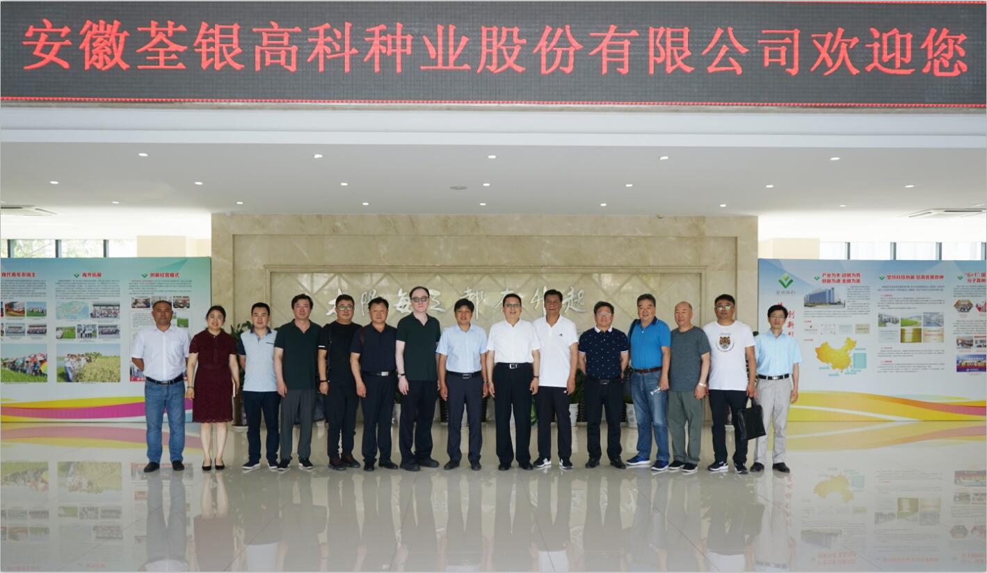 华人策略最新地址