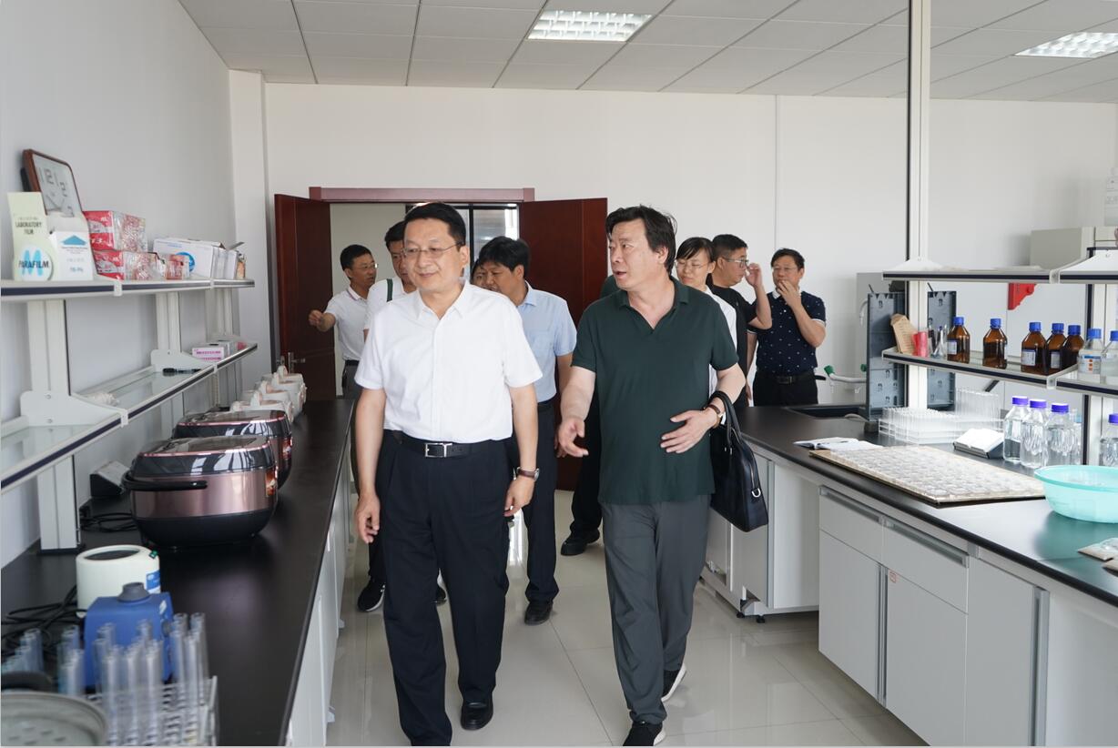 华人策略最新地址