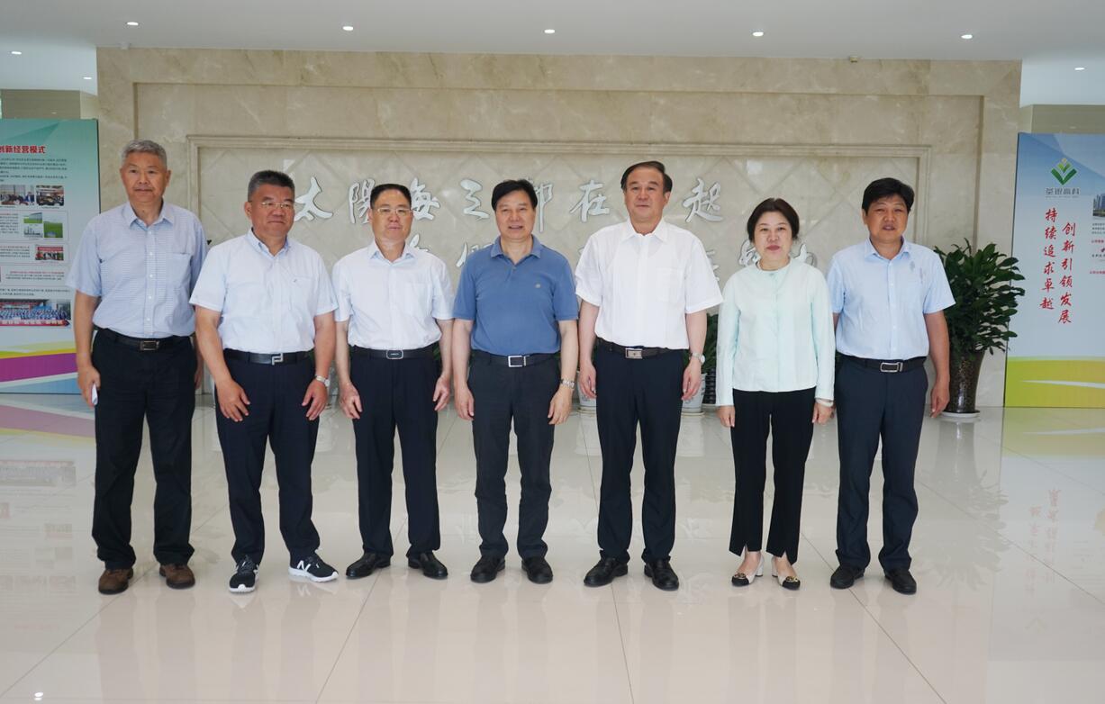 华人策略最新地址