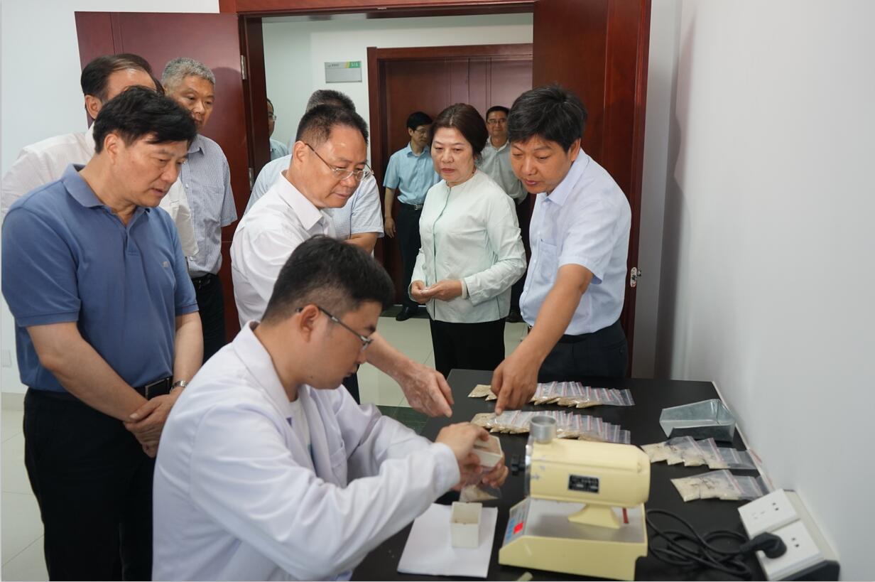 华人策略最新地址