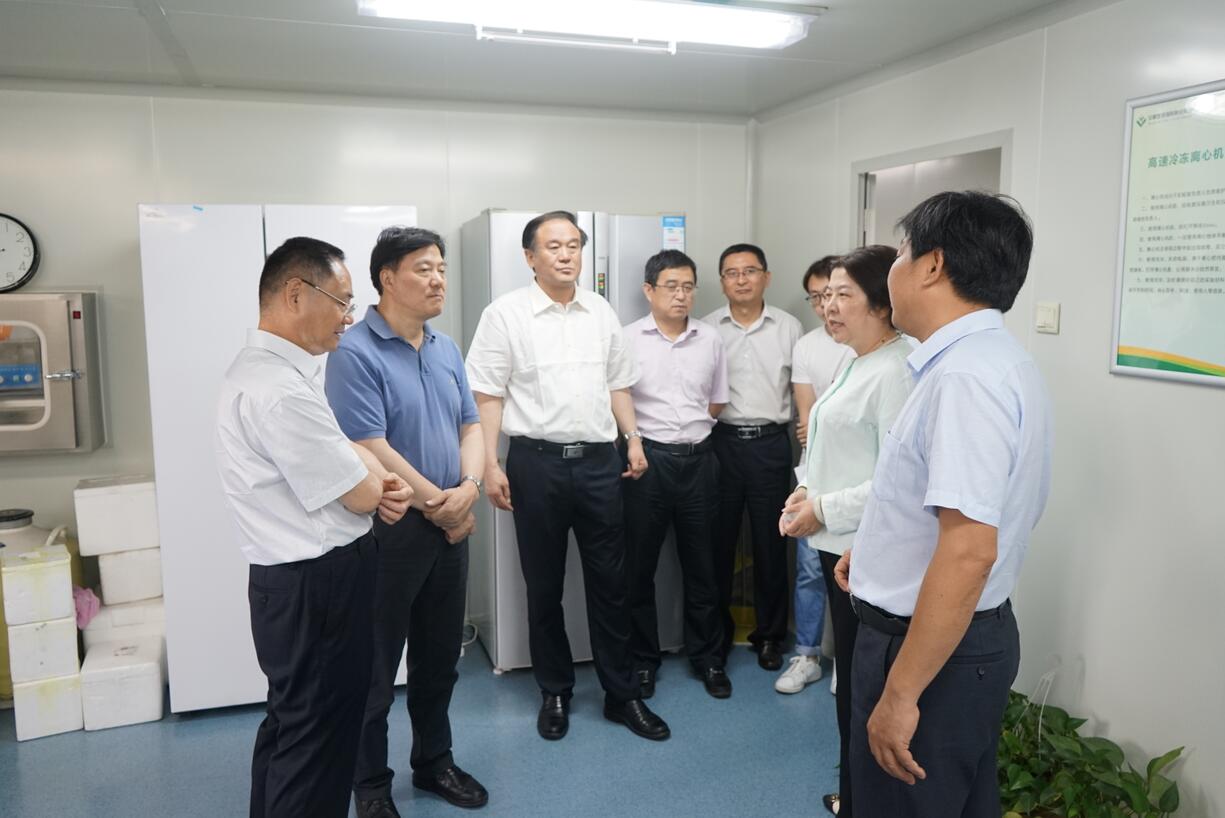 华人策略最新地址