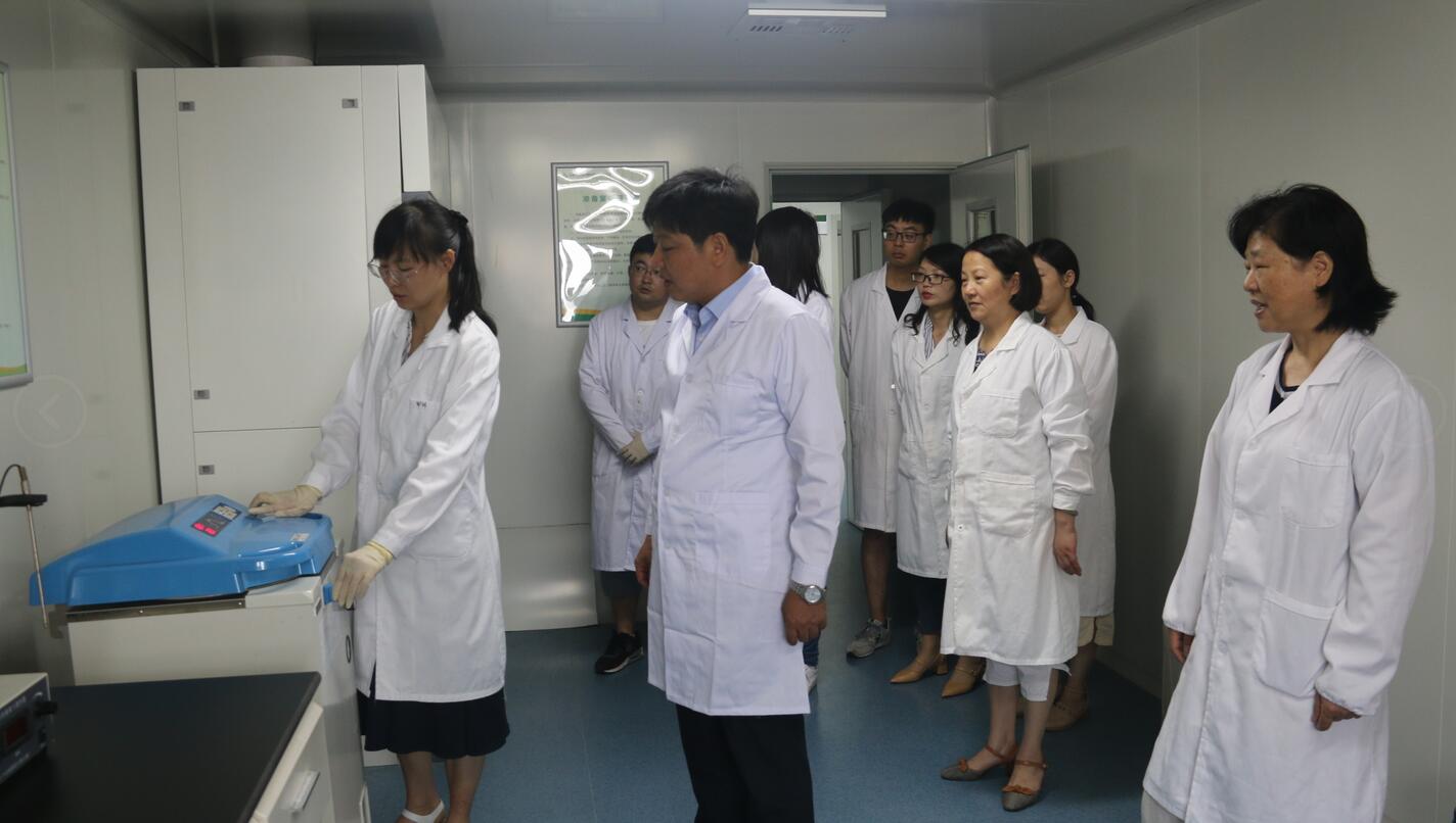 华人策略最新地址