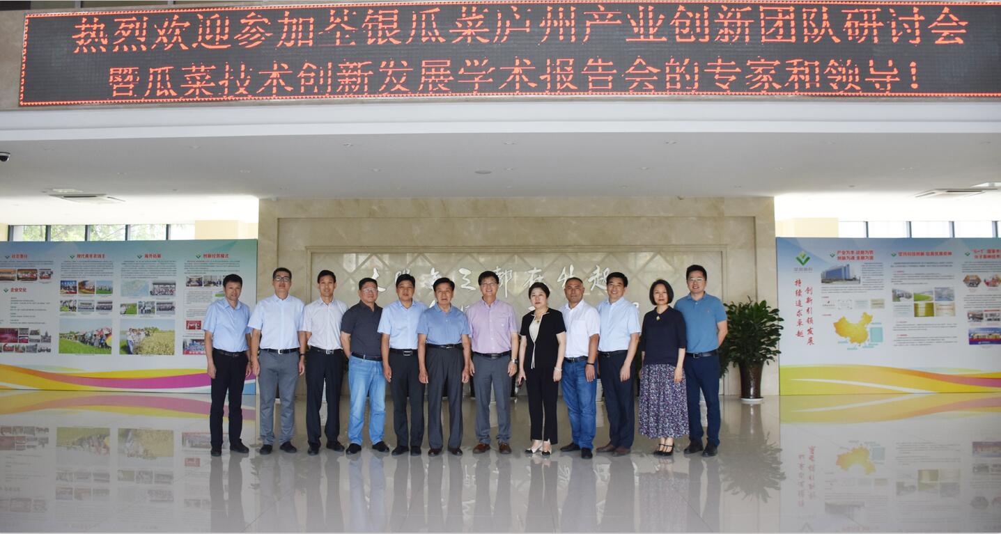 华人策略最新地址