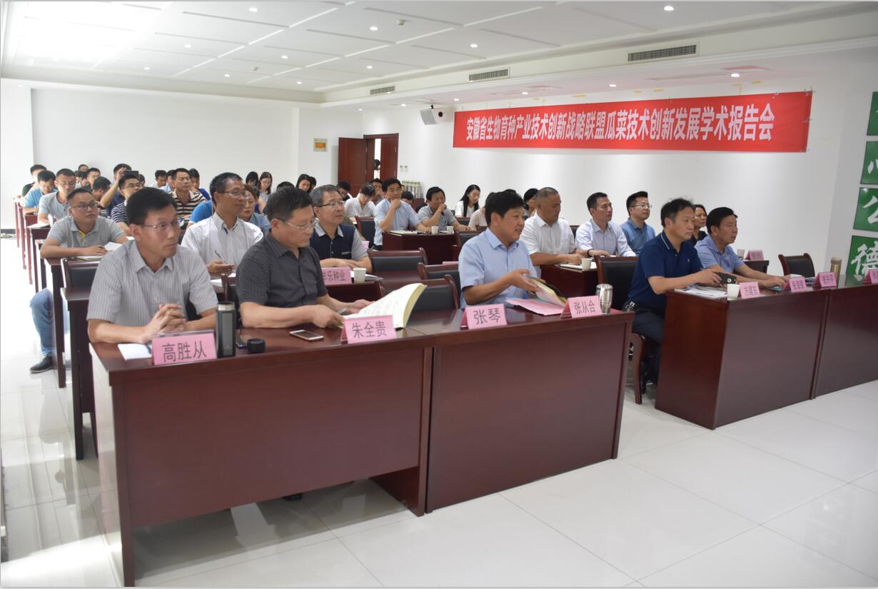 华人策略最新地址