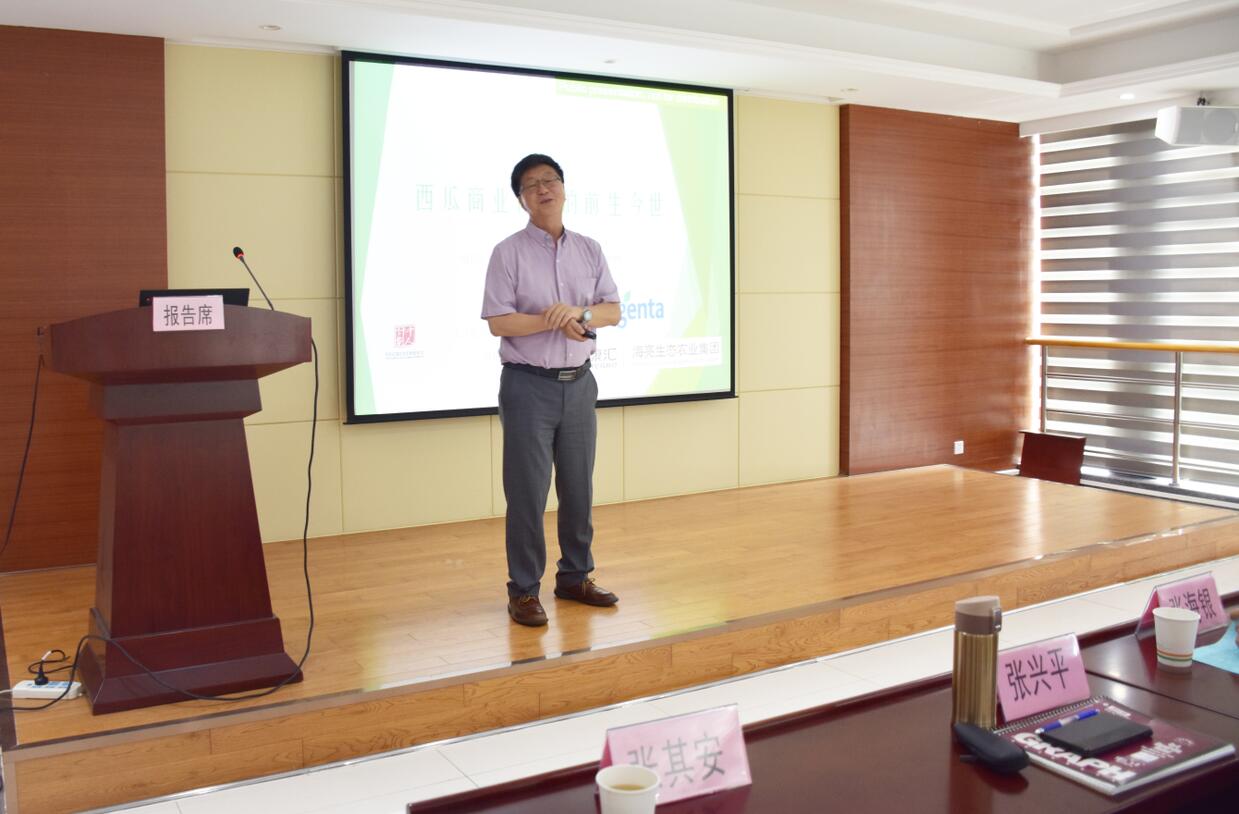 华人策略最新地址