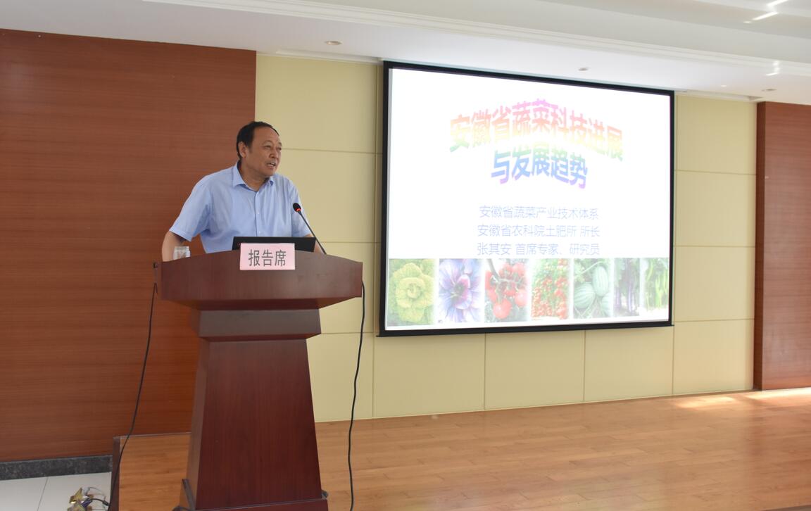 华人策略最新地址