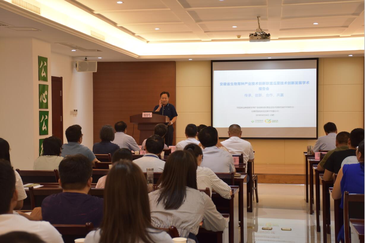 华人策略最新地址