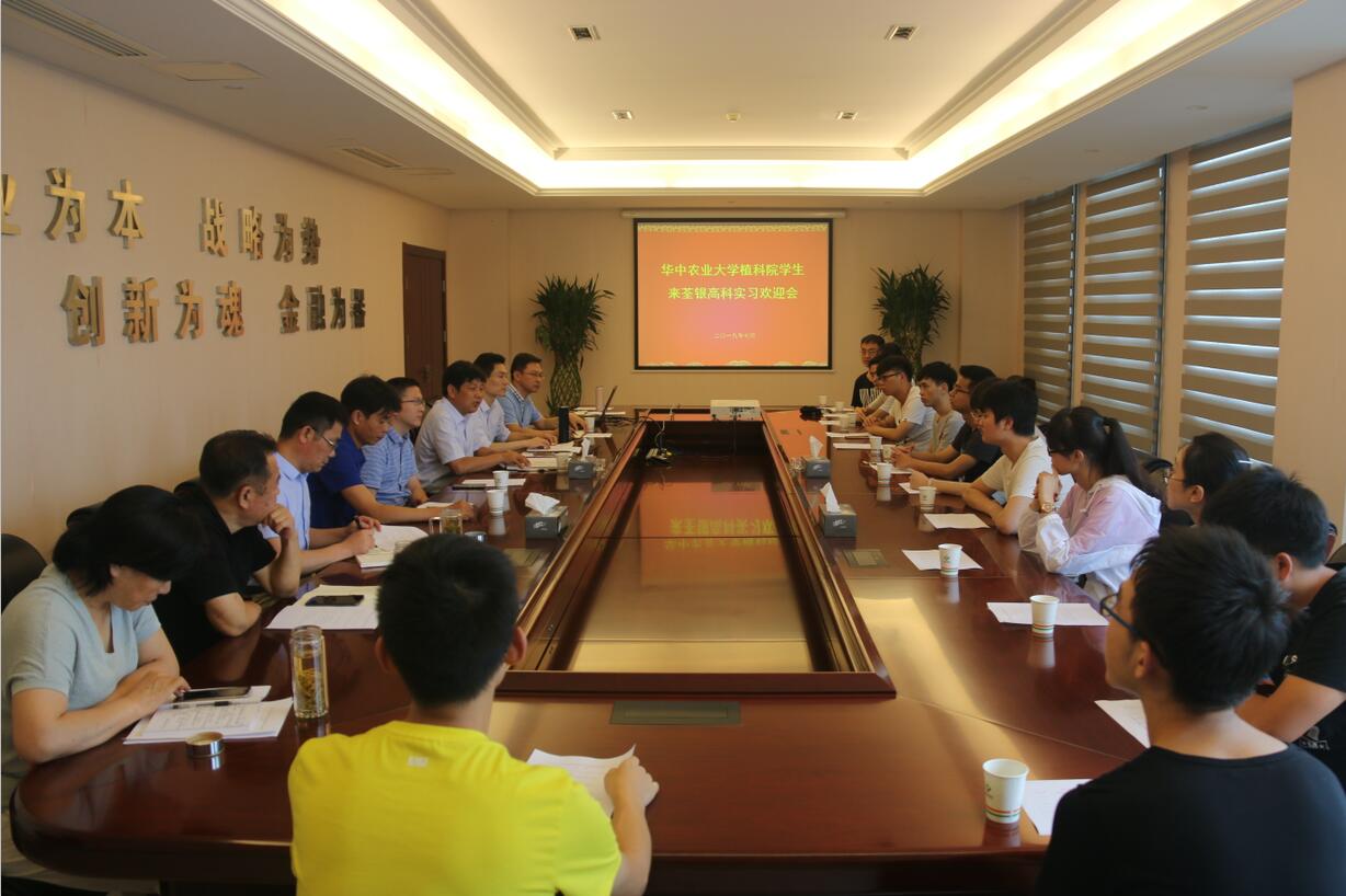 华人策略最新地址