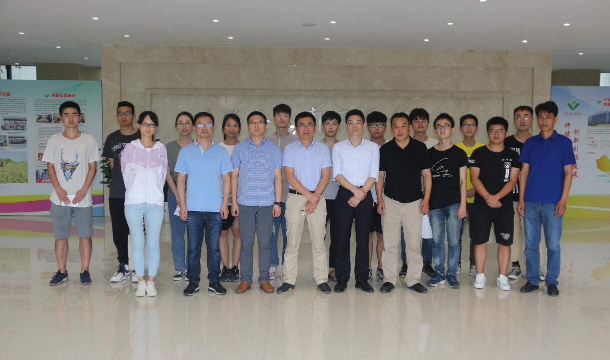 华人策略最新地址