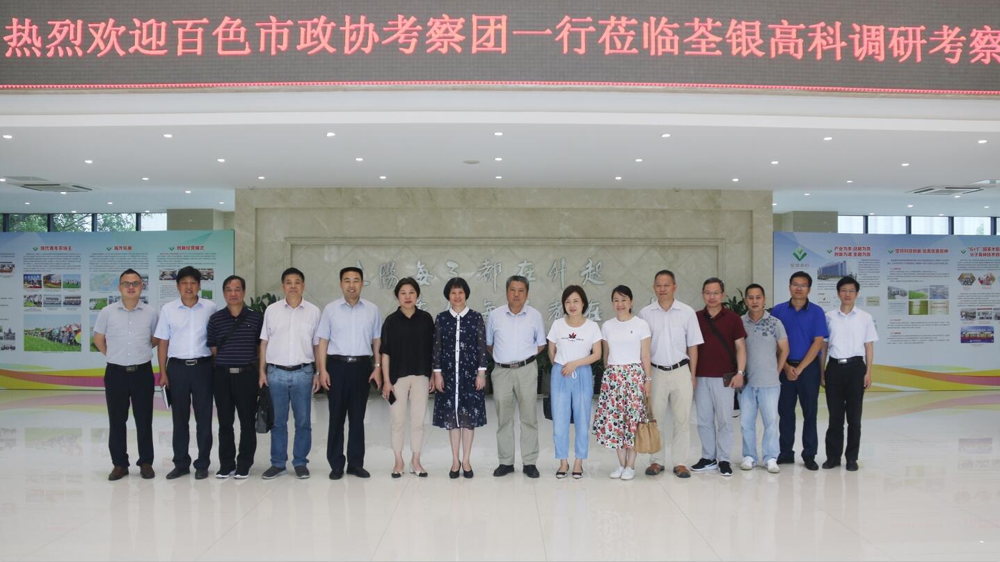 华人策略最新地址