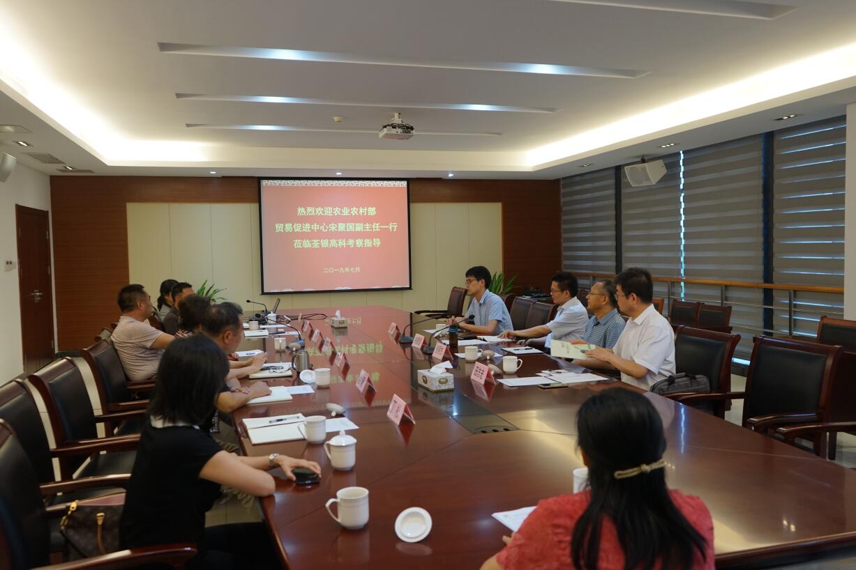 华人策略最新地址