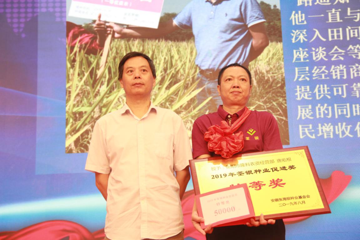 华人策略最新地址